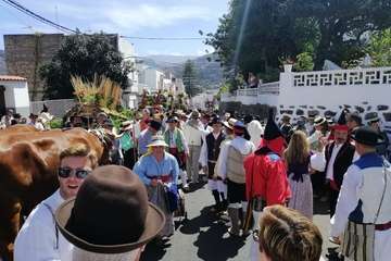 Romería ofrenda a la Virgen del Pino (Foto TA y Antonio Alí)